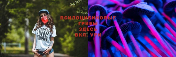 первитин Лабытнанги