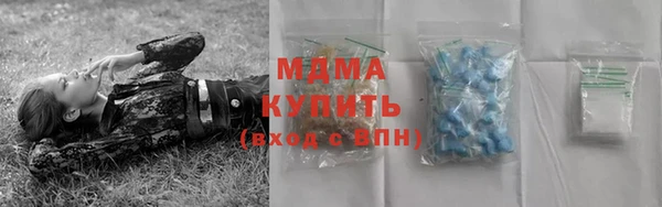 хмурый Магас