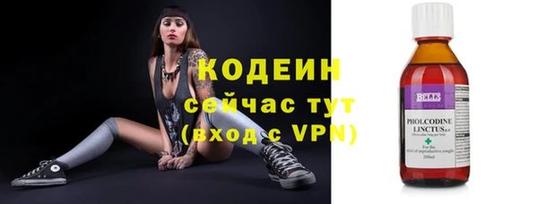 дмт Фёдоровский