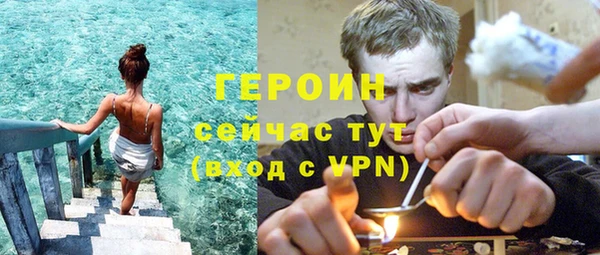 сатива Калининец