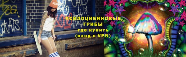 хмурый Магас