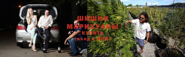 хмурый Болохово